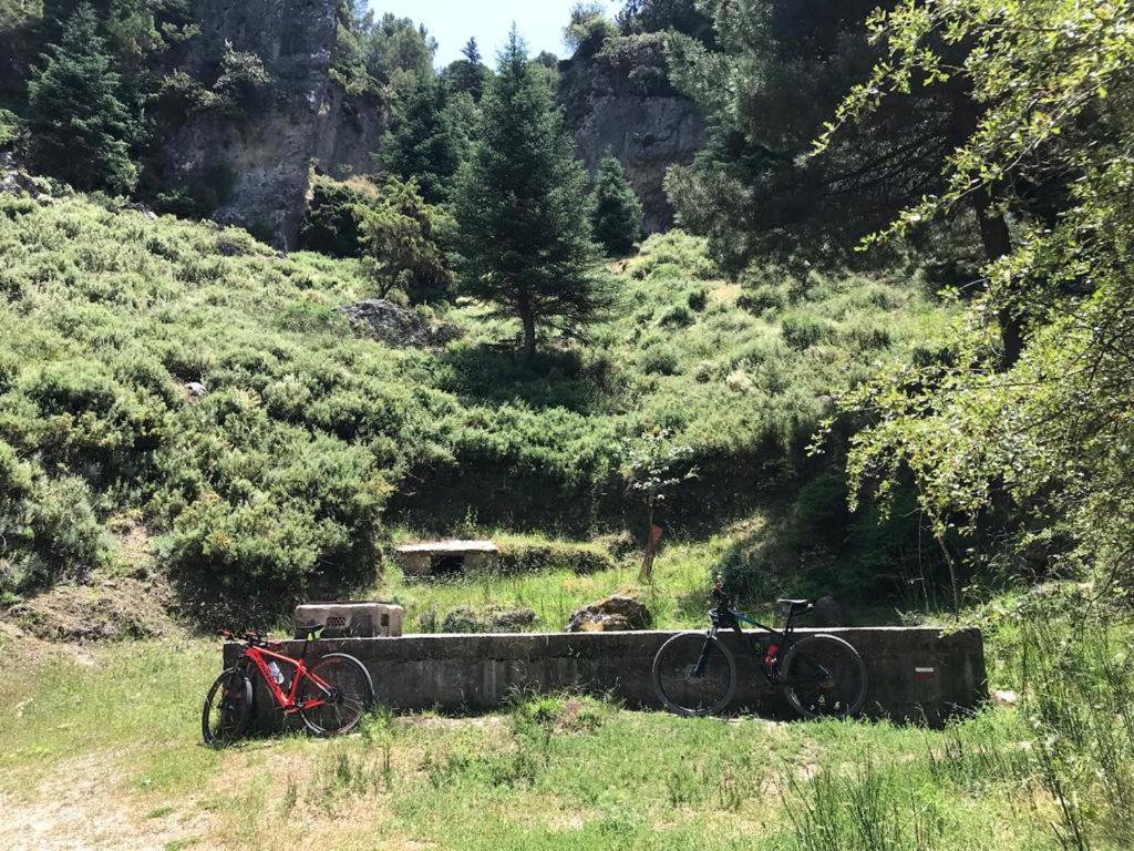 Casa Petra : Bonita Casa Rural En Yunquera Exteriör bild